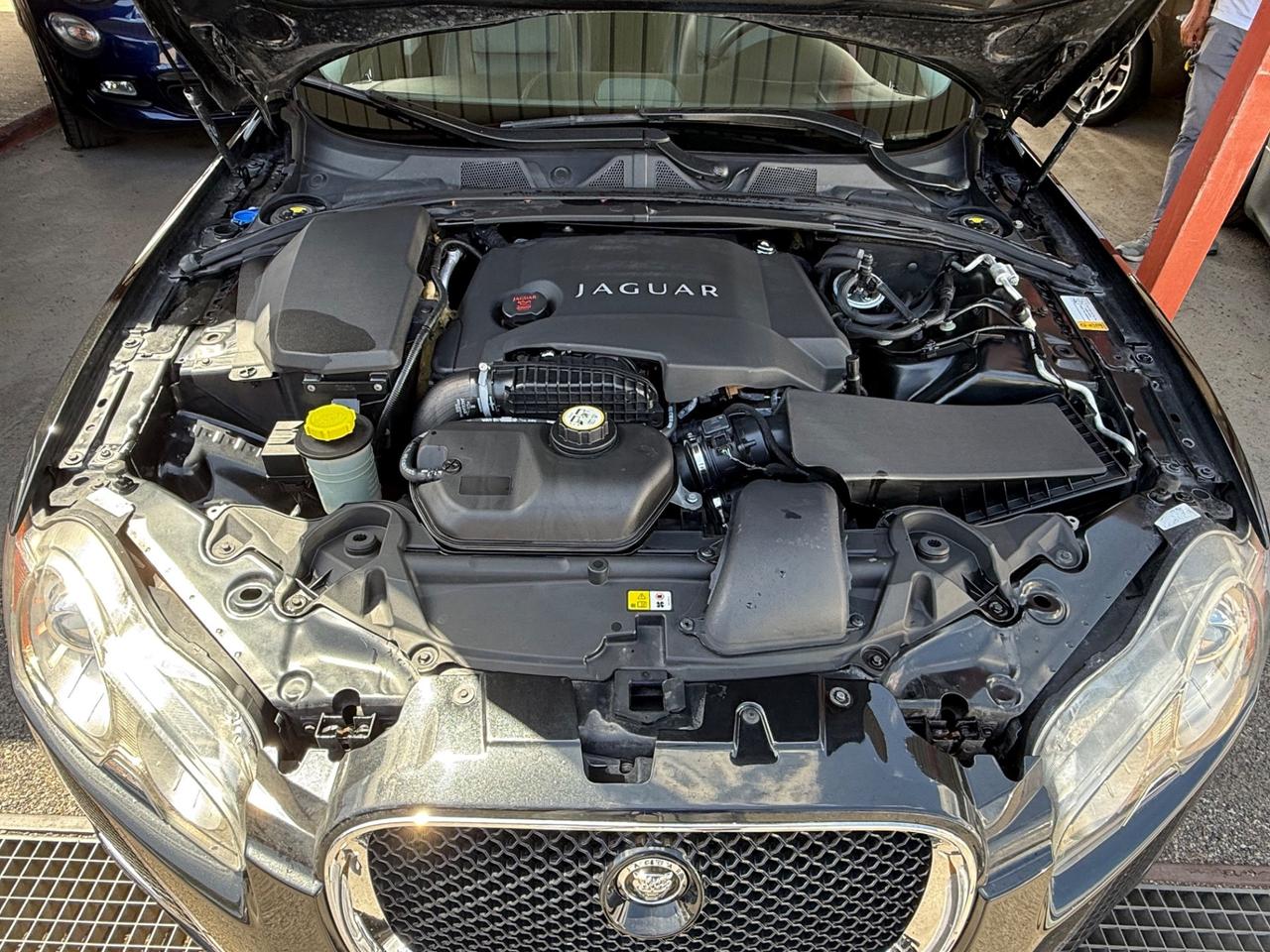XF 3.0DS V6 Premium Luxury/R-SPORT/RATE/PERMUTE