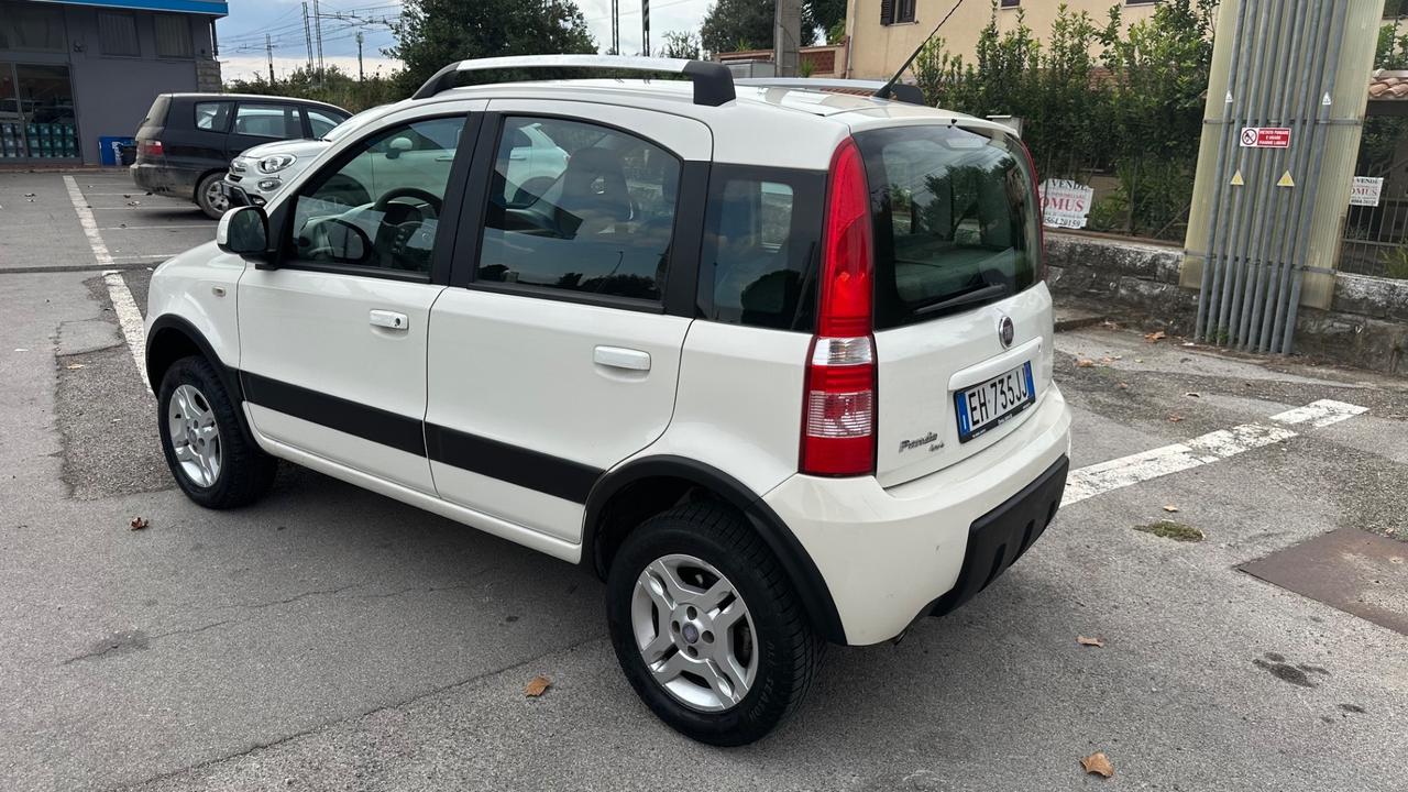 Fiat Panda 1.3 MJT 16V DPF 4x4 Climbing