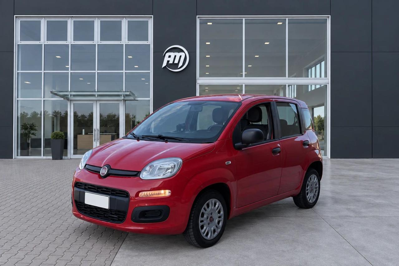 Fiat Panda 1.0 Hybrid Van 4 posti