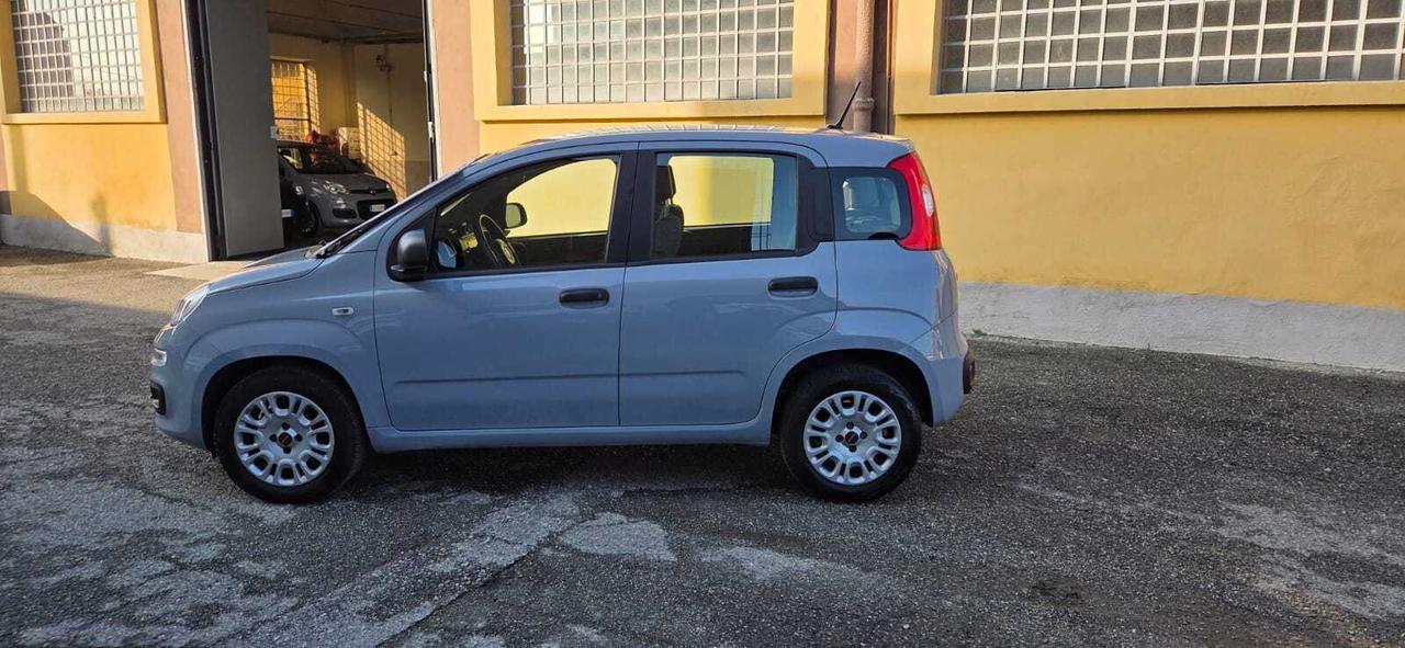 Fiat Panda 1.2 69 CV EASY- 4 POSTI - AUTO PER NEOPATENTATI! KM. 33.000-UNICO PROPRIETARIO!