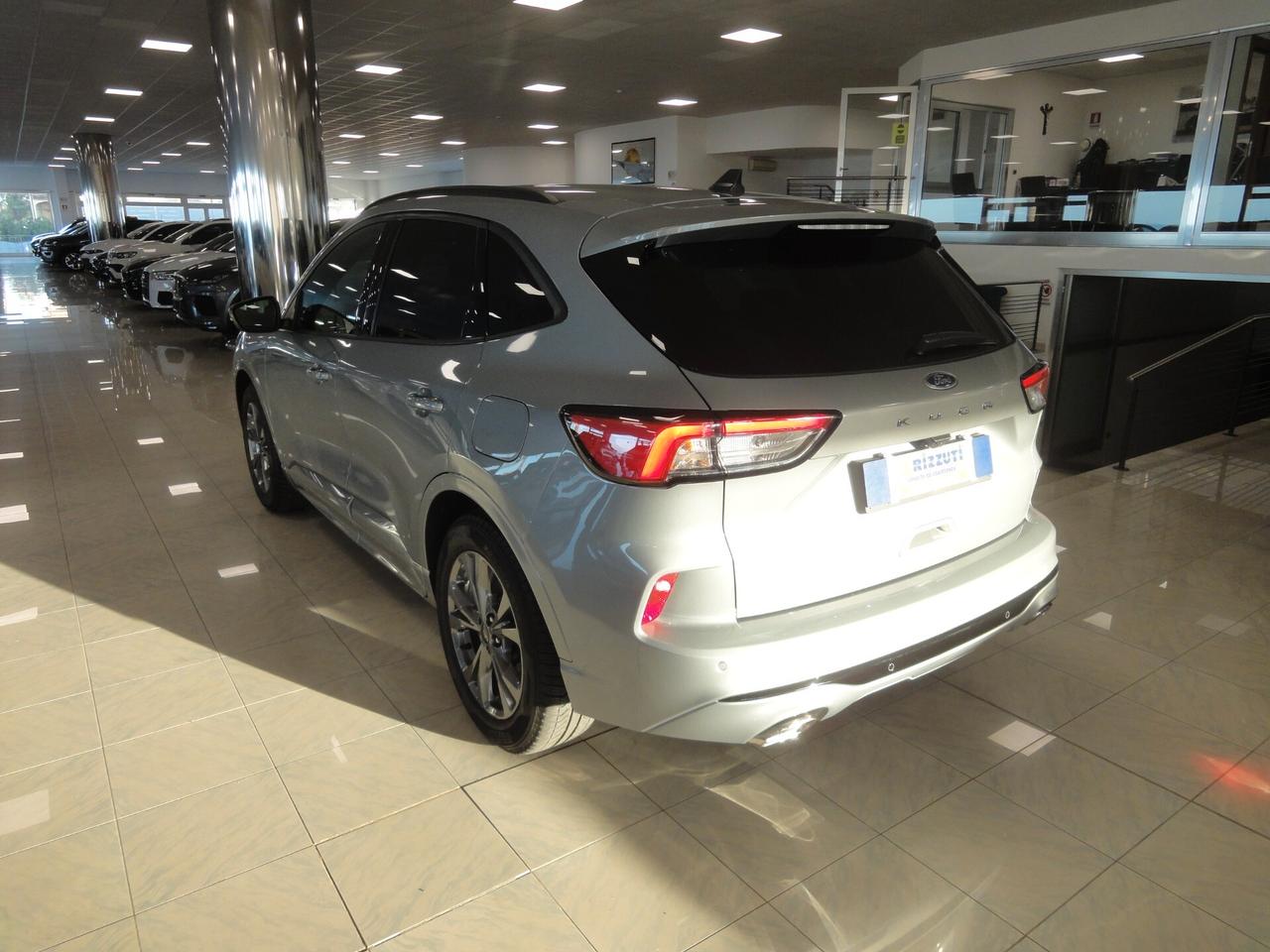 Ford Kuga 1.5 EcoBlue 120 CV aut. 2WD ST-Line