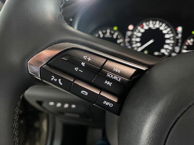 Mazda CX-30 2.0L e-Skyactiv-X M Hybrid AWD Nagisa