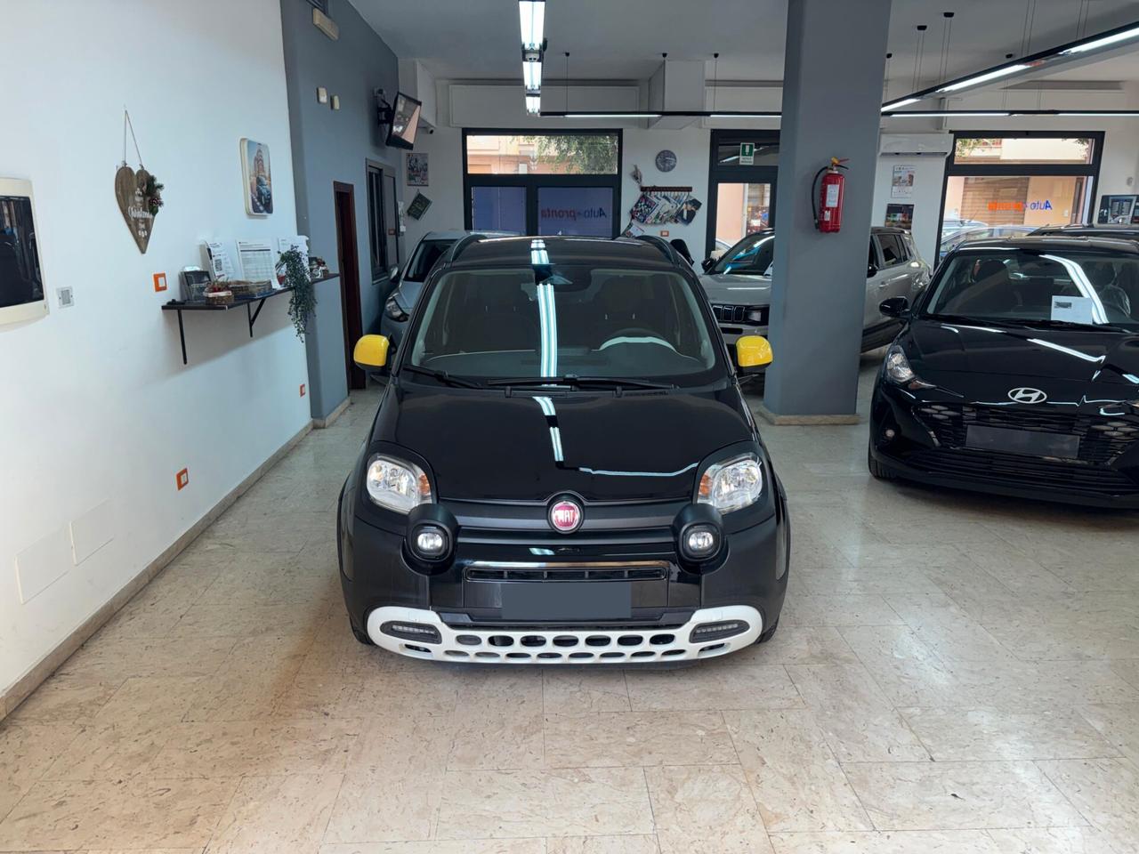 Fiat Panda Pandina Cross 1.0 Hybrid Vari Colori