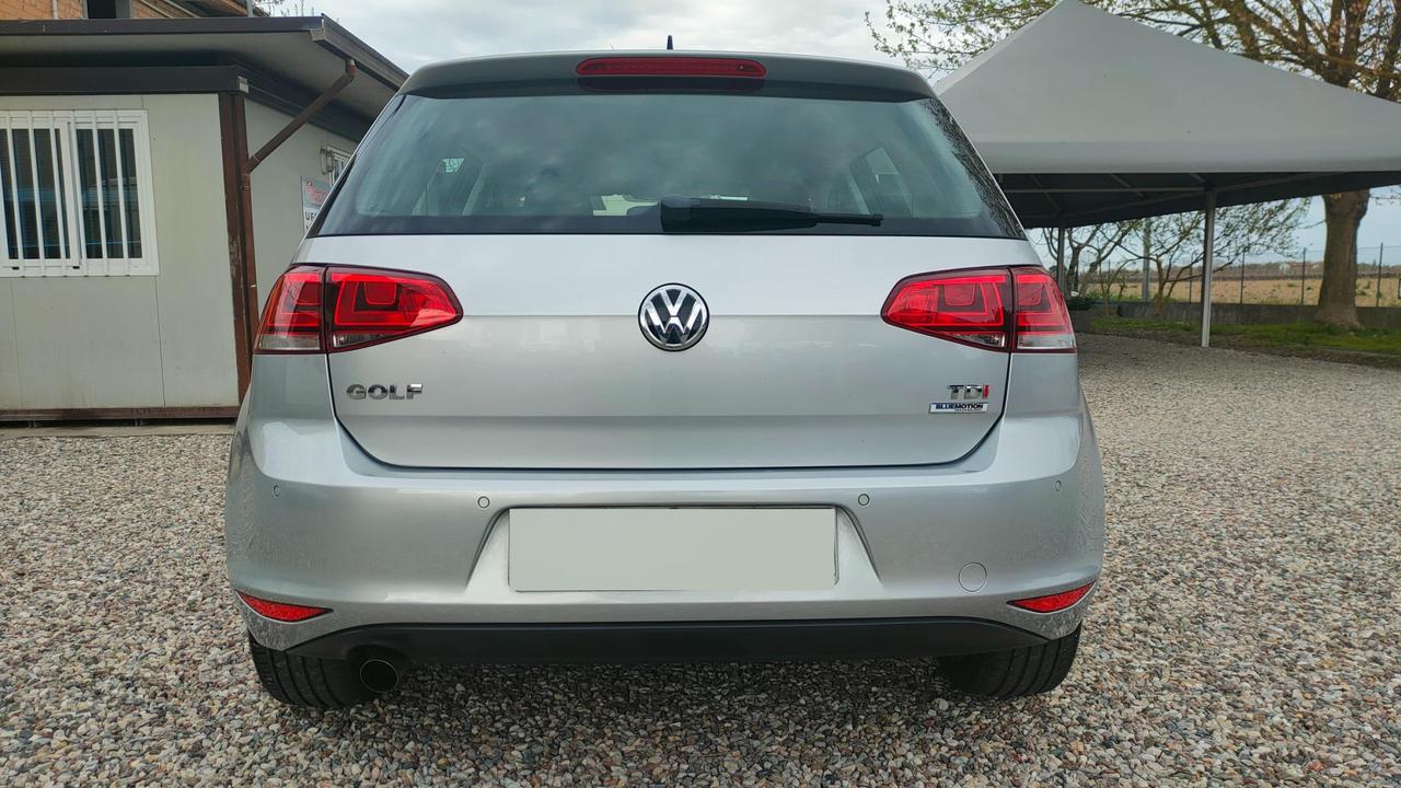 Volkswagen Golf 5 Porte Golf 5p 1.6 tdi Highline Executive (business) 110cv dsg