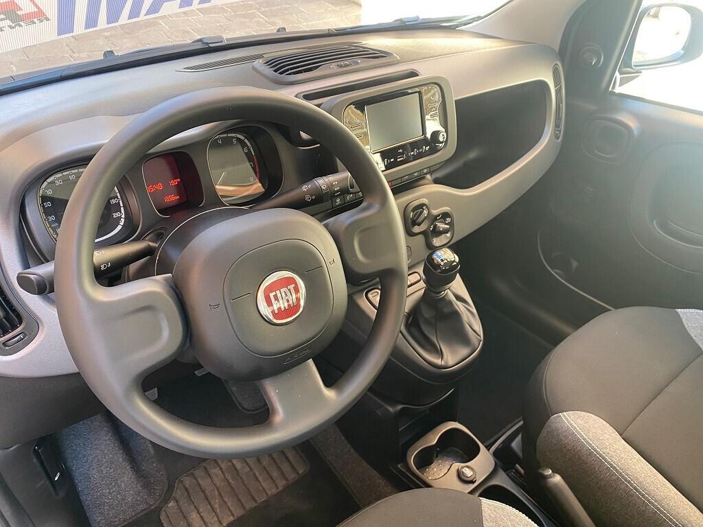 FIAT Panda 1.0 FireFly 5 porte S&S Hybrid NOLEGGIO