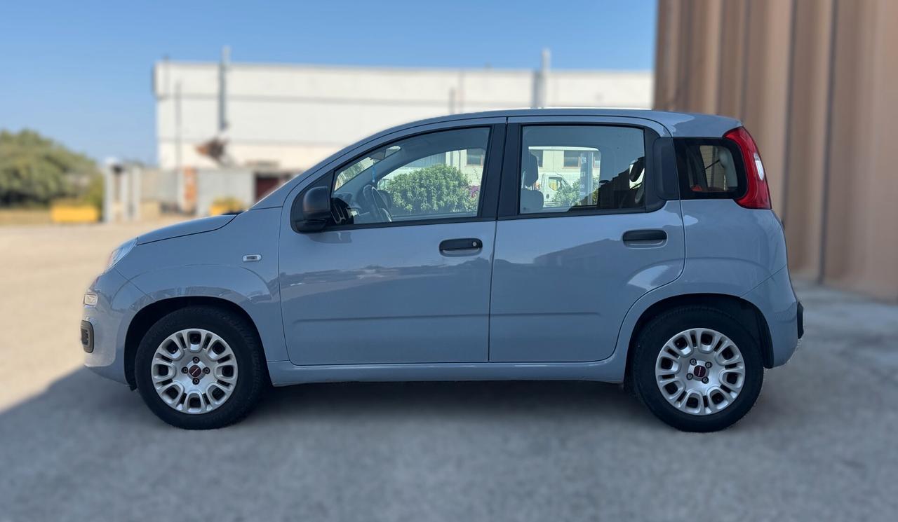Fiat Panda 1.2 69CV NEOPATENTATI - 2019