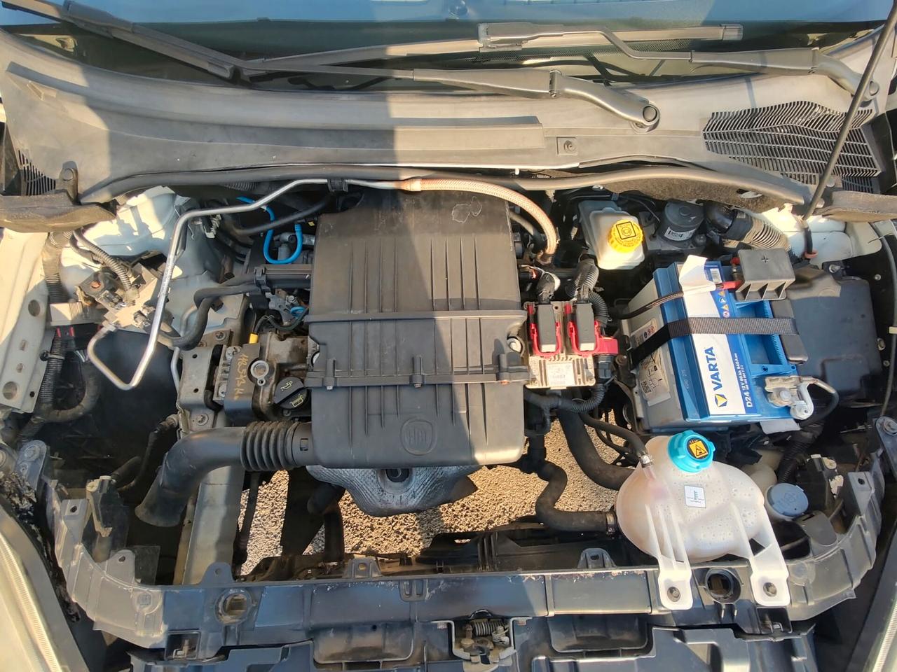 Fiat Punto 5P 1.4 METANO 70CV, OK NEOPATENTATI