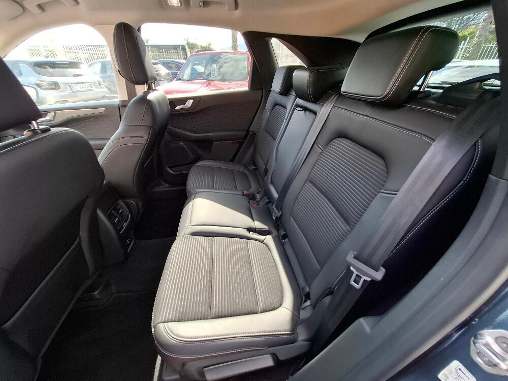 Ford Kuga 2.0 EcoBlue Hybrid 150 CV 2WD Titanium Business