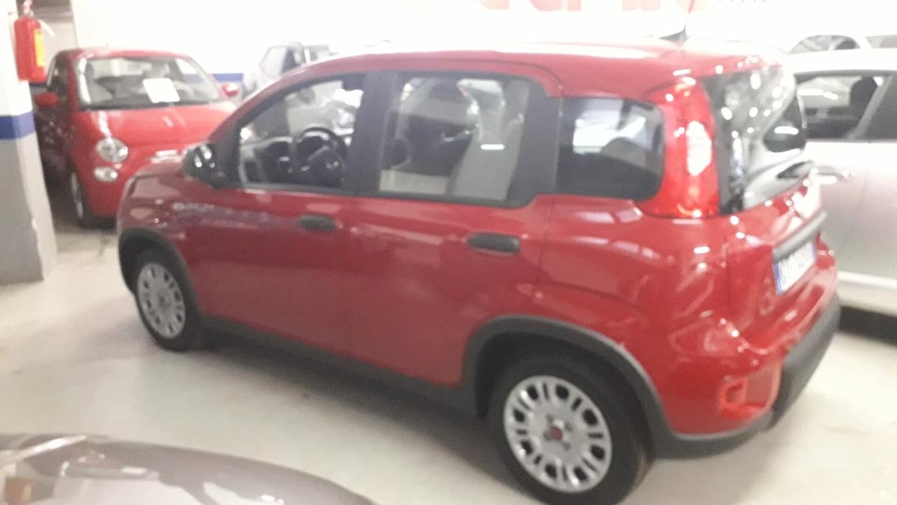 Fiat Panda 1.0 FireFly S&S Hybrid