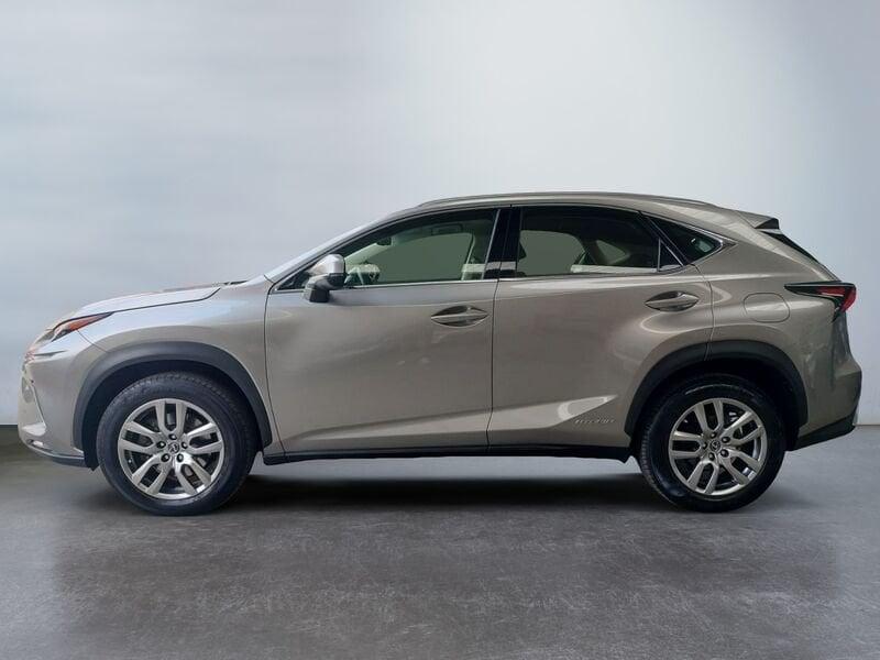Lexus NX NX Hybrid 4WD Executive