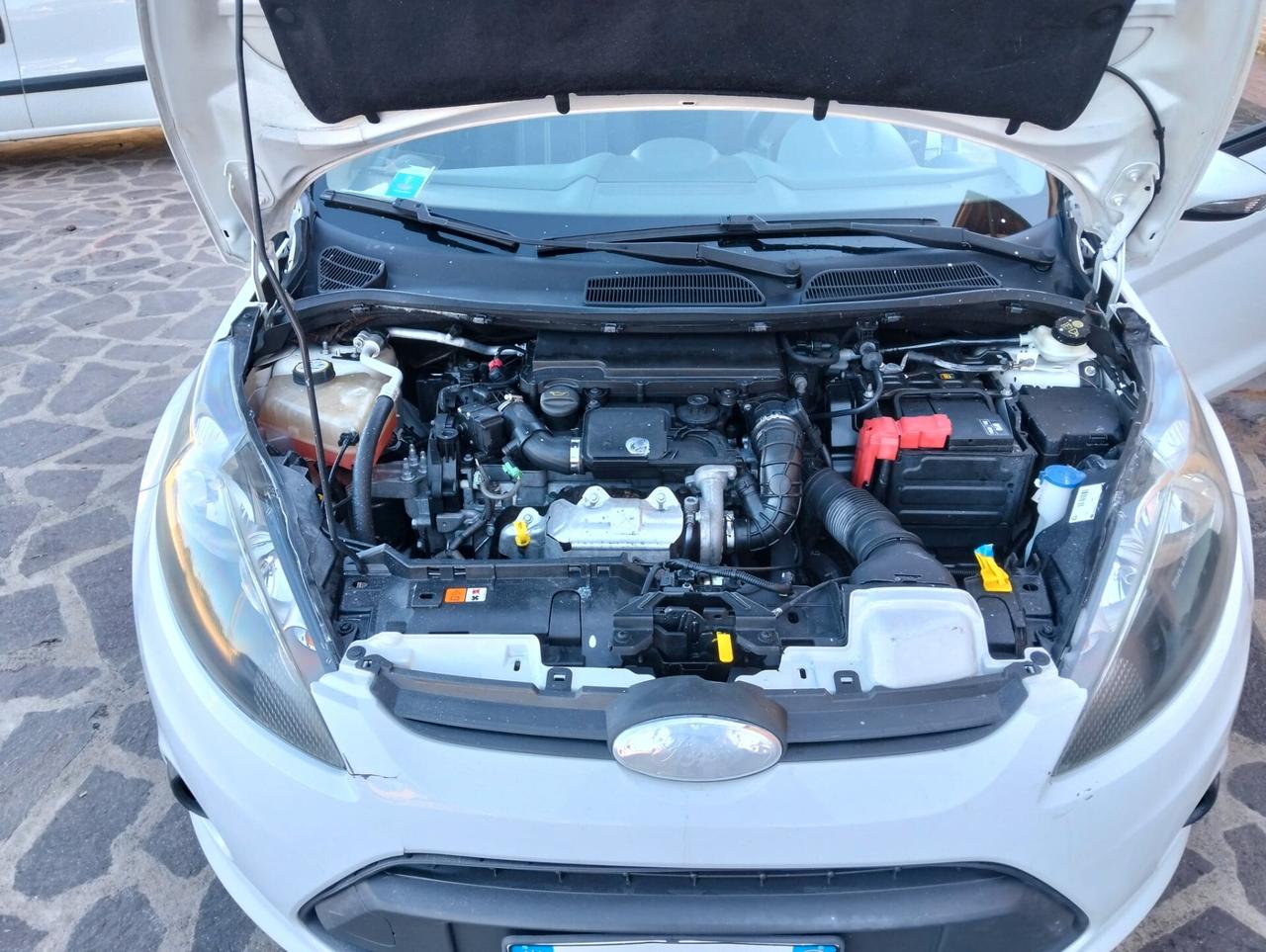 Ford Fiesta Fiesta+ 1.4 TDCi 68CV 5 porte
