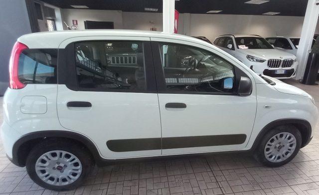 FIAT Panda 1.0 GSE S&S Hybrid Street Van 4 posti