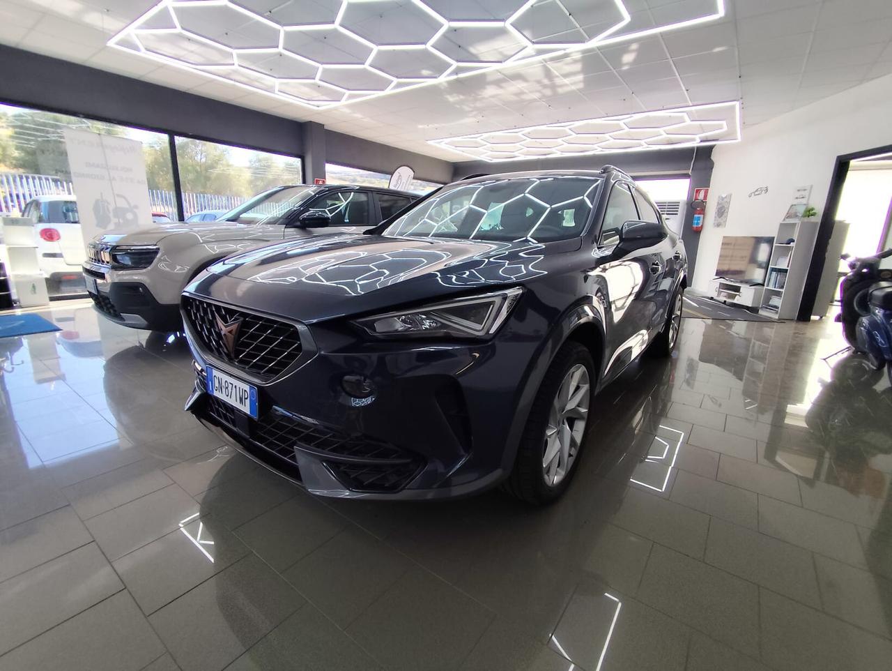Cupra Formentor 2.0 TDI 4Drive DSG