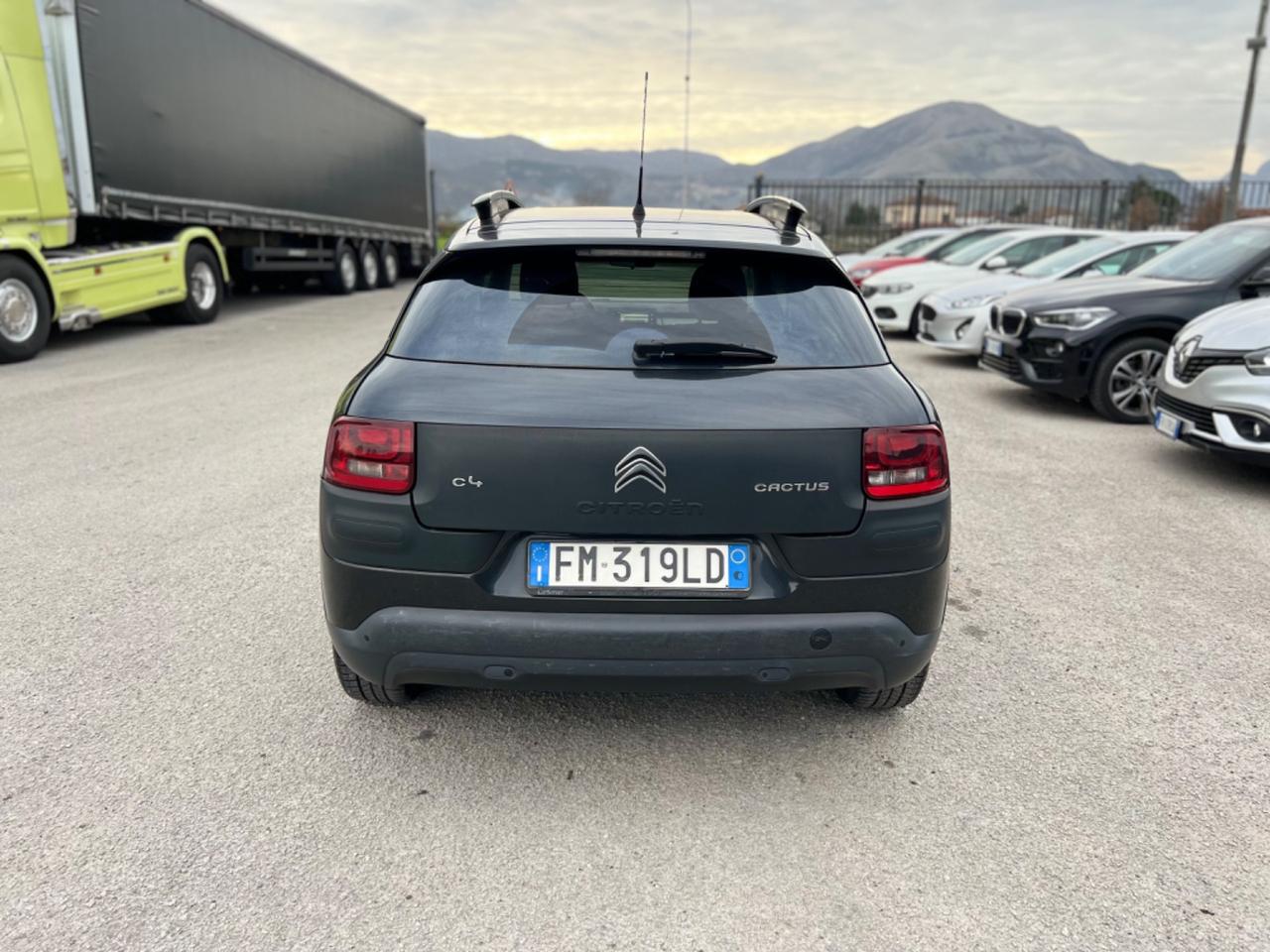 Citroen C4 Cactus BlueHDi 100 Shine