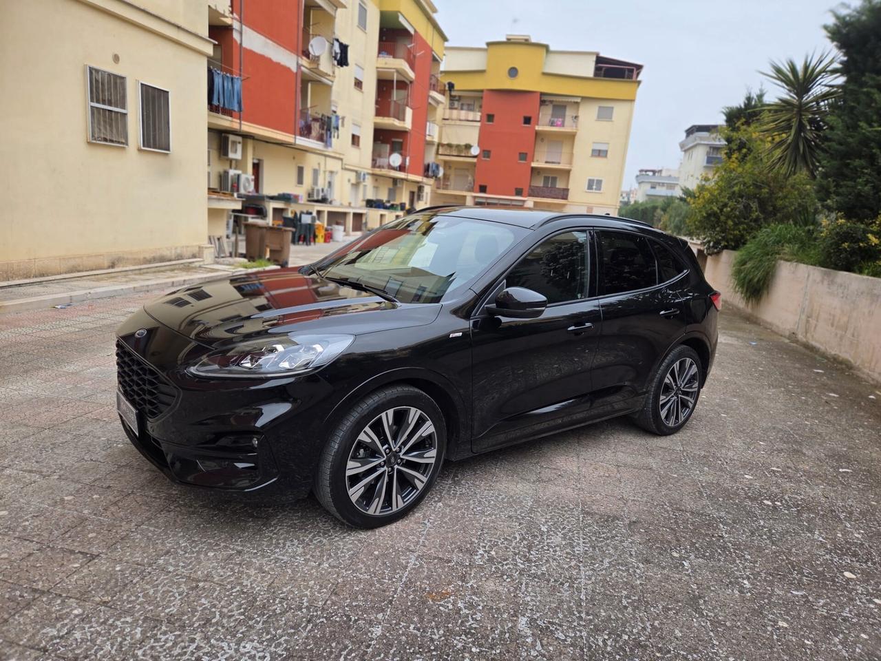 Ford Kuga 1.5 EcoBlue 120 CV aut. 2WD ST-Line X