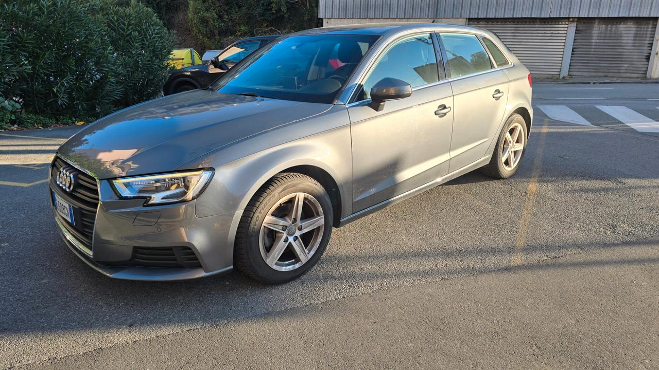Audi A3 SPB 1.6 TDI 116 CV Business