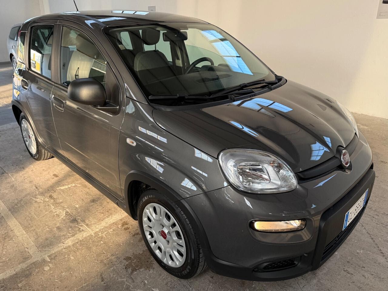 Fiat Panda 1.0 FireFly S&S Hybrid - 2022