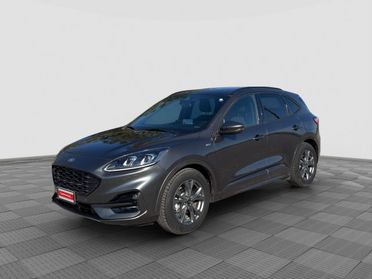 FORD Kuga Kuga 1.5 EcoBlue 120 CV aut. 2WD ST-Line