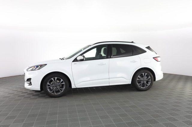 FORD Kuga Kuga 2.0 EcoBlue 120 CV aut. 2WD ST-Line