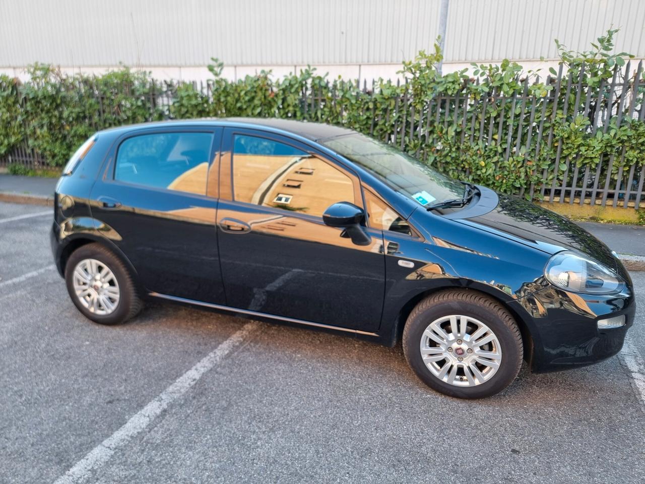 Fiat Punto 1.2 Benzina 8V 5 porte Lounge