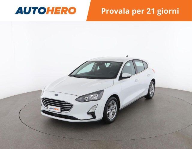 FORD Focus 1.5 EcoBlue 120 CV 5p. Business