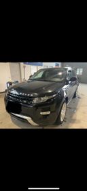 Land Rover Range Rover Evoque 5 Porte Range Rover Evoque 5p 2.2 td4 Pure Tech Pack 150cv auto 9m