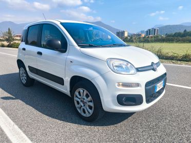 FIAT PANDA 4X4 TWINAIR – VAN-2019 -OK NEOPATENTATI