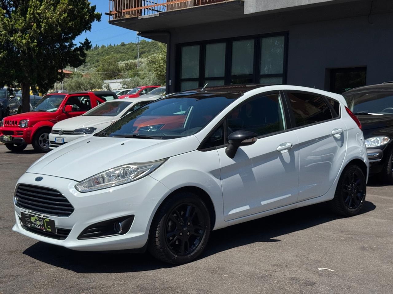Ford Fiesta 1.5 TDCi 75CV 5 porte Black & White Edition