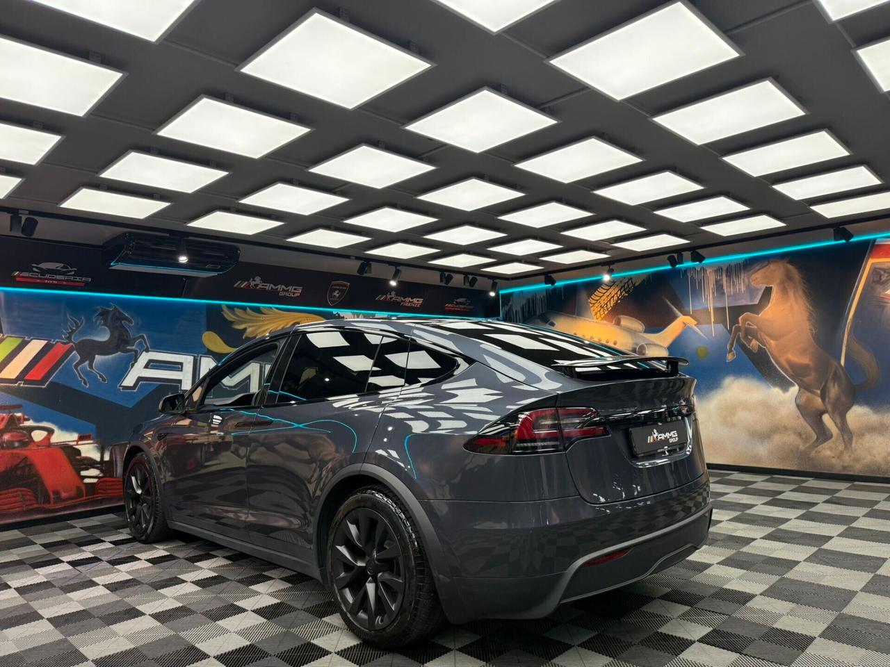 Tesla Model X LONG RANGE (734)