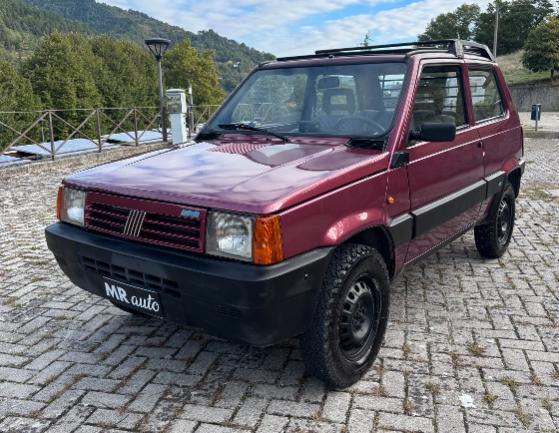 Fiat Panda 1.1 Fire Trekking 4x4 cat.