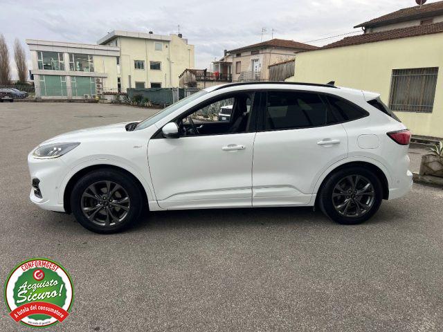 FORD Kuga 1.5 EcoBlue 120 CV 2WD ST-Line X