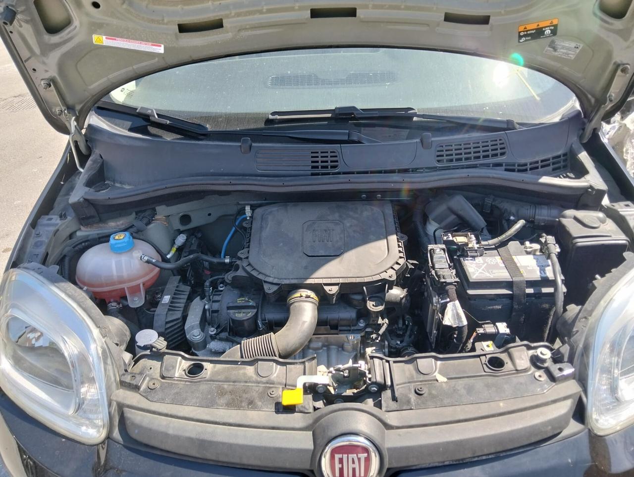 Fiat Panda 1.0 HYBRID 2024 SINISTRATA