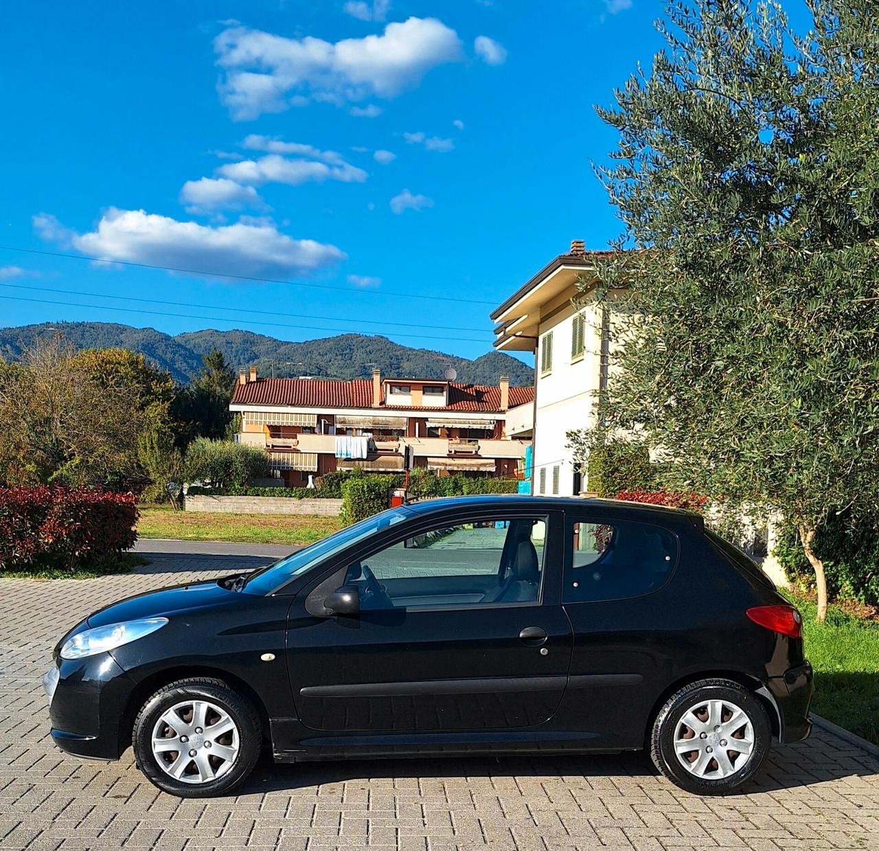 Peugeot 206 Plus - Tagliandata - Unipropr