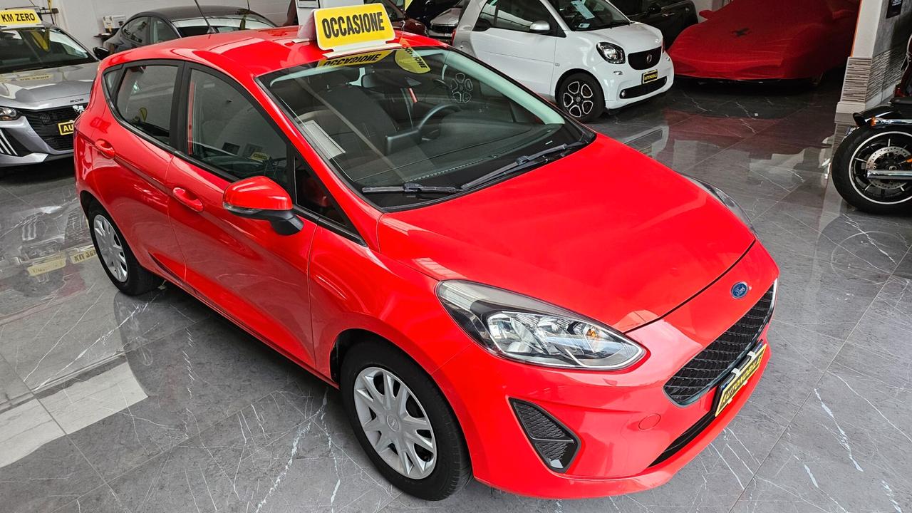 Ford Fiesta 1.1 5 porte Plus