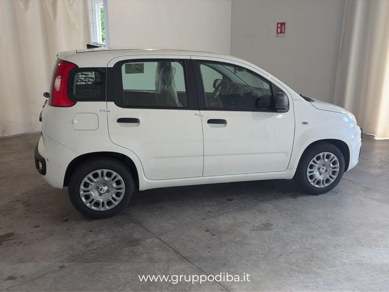FIAT Pandina 1PA My26 1.0 65cv Hybrid Icon