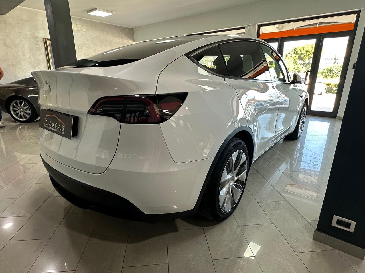 Tesla Model Y Standard Range RWD single moto #6584