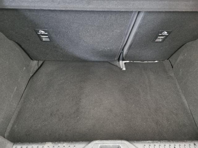 FORD Fiesta Active 1.0 Ecoboost 95 CV