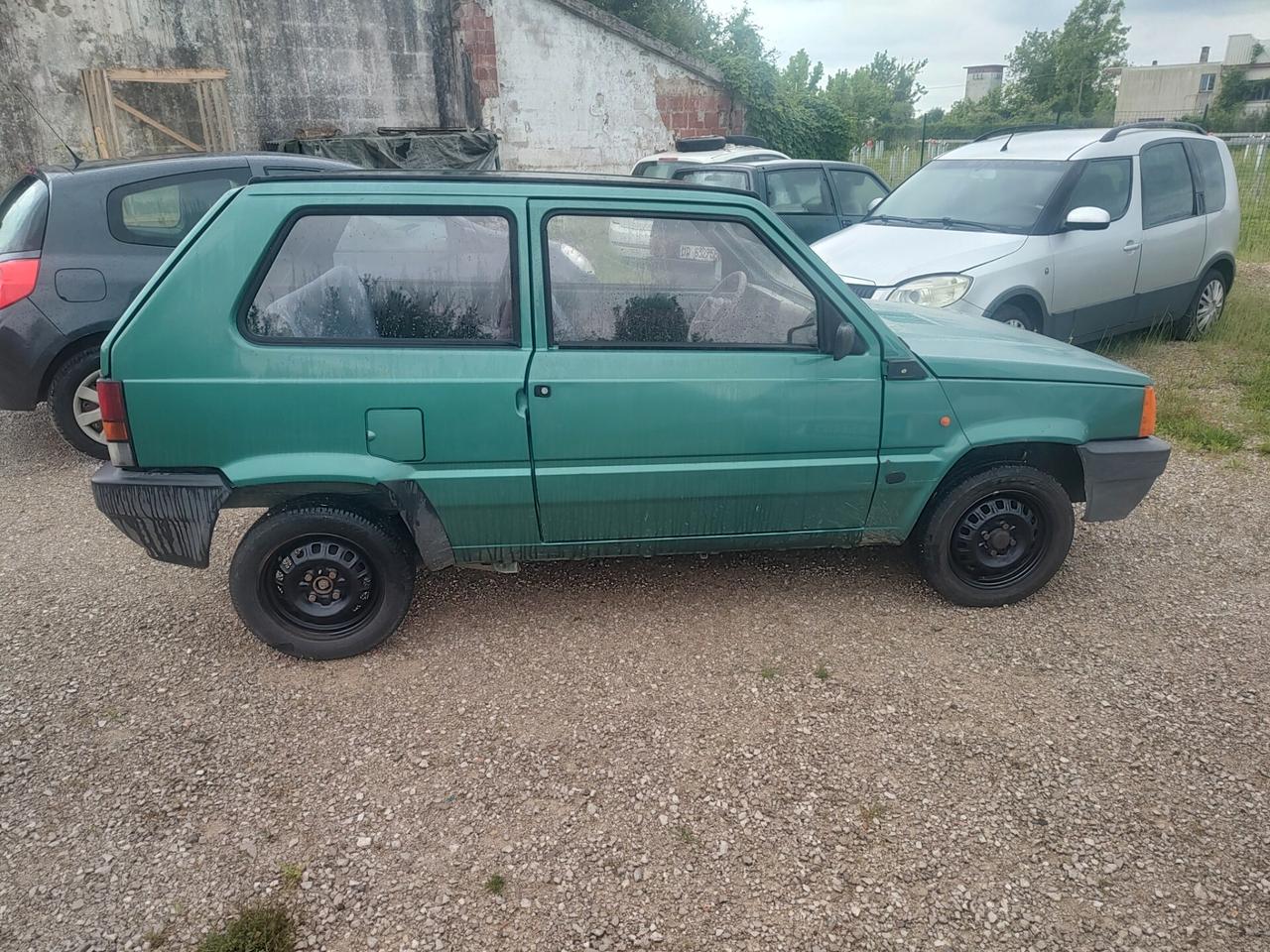 Fiat Panda 1100 i.e. cat Young