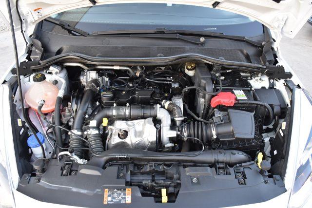 FORD Fiesta 1.5 EcoBlue 5 porte Business