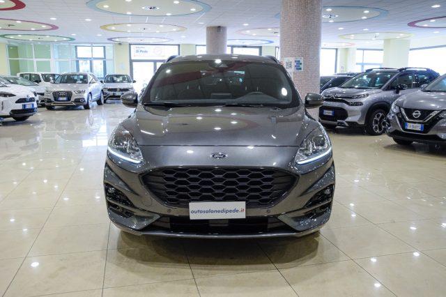 FORD Kuga 1.5 EcoBlue 120 CV 2WD ST-Line