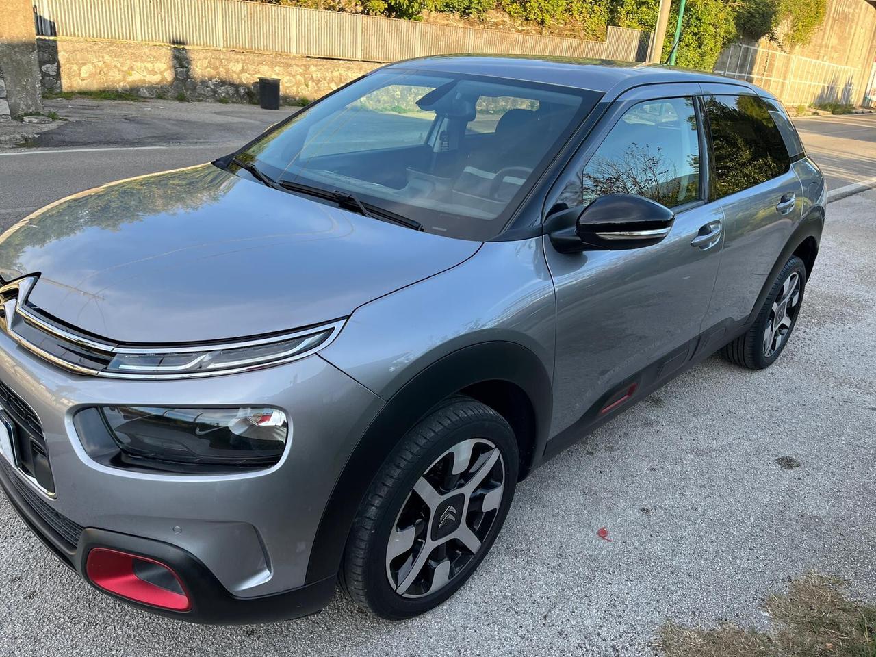Citroen C4 Cactus 1.5 BlueHDi 100CV S&S Shine