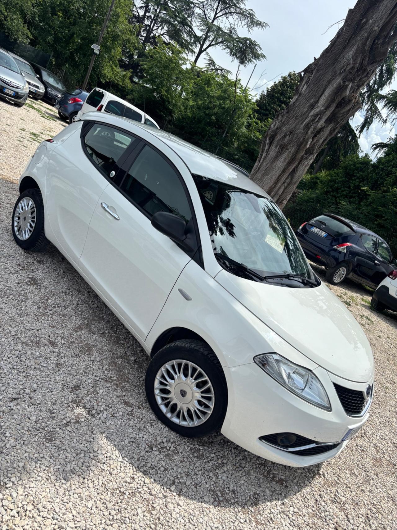 Lancia Ypsilon 0.9 TwinAir 85 CV 5 porte Metano Ecochic Platinum