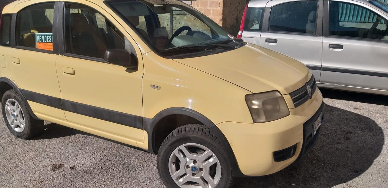 Fiat Panda 1.2 4x4 Climbing imp GPL