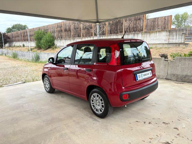 FIAT Panda 1.0 FireFly S&S IBRIDA COME NUOVA