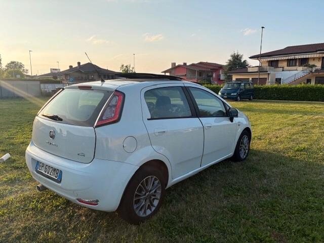 Fiat Punto Evo 1.3 Mjt 95 CV DPF 5 porte S&S Dynamic