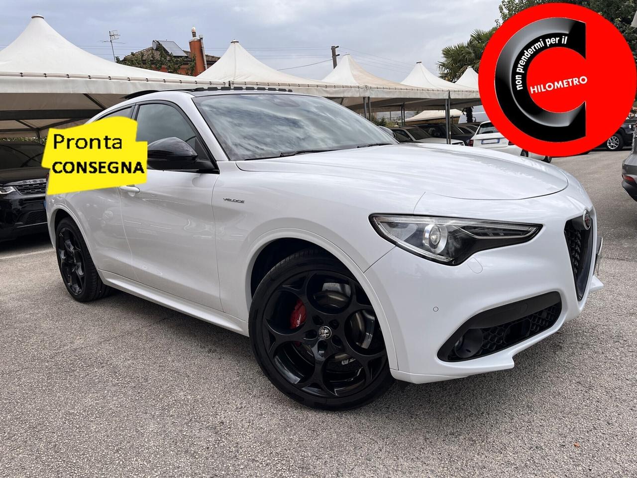 Alfa Romeo Stelvio 2.2 210 CV Q4 Veloce TETTO APRIBILE