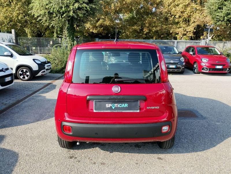 FIAT Pandina Pandina 1.0 firefly hybrid Icon s&s 65cv
