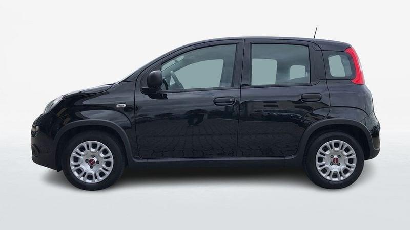 FIAT Panda 1.0 FireFly Hybrid 70cv S&S