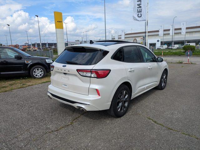 FORD Kuga 1.5 EcoBlue 120 CV aut. ST-Line