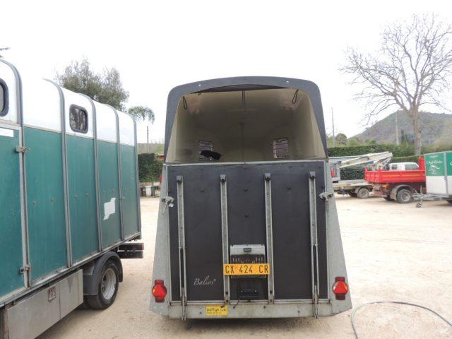 AC Ace carrello trasporto cavalli